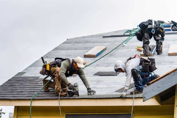 Professional Roofing technician working in Rio, WI
